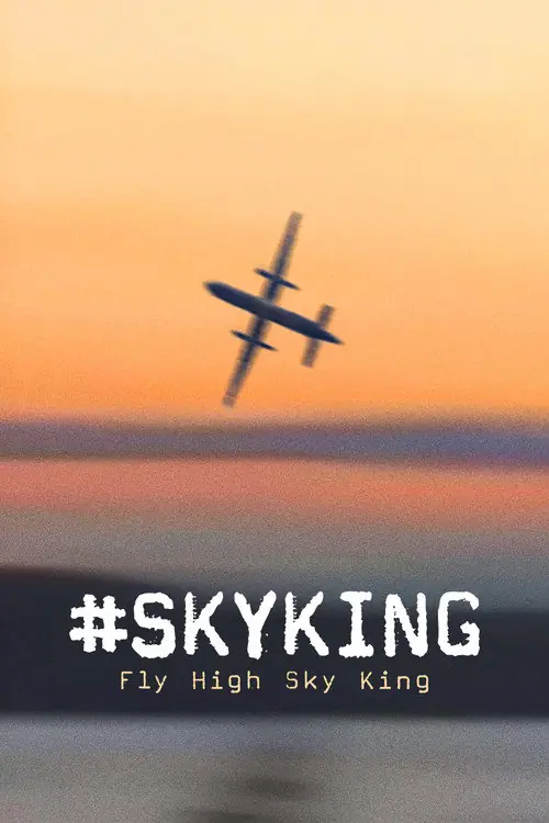 #SKYKING Poster