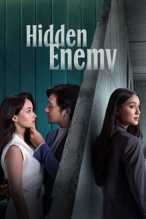 Hidden Enemy Poster