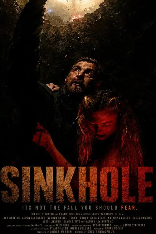 Sink Hole Poster