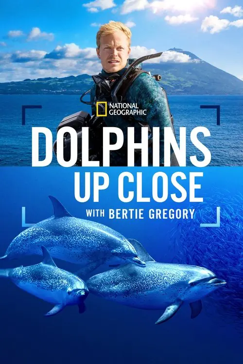 Dolphins Up Close with Bertie Gregory Poster