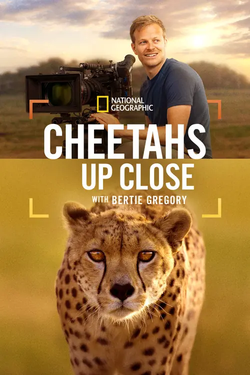 Cheetahs Up Close with Bertie Gregory Poster